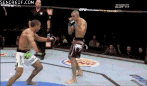0_662fd_5a5c1b65_M.gif