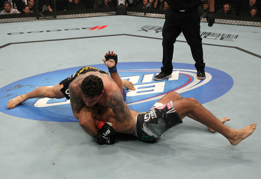 11_Mir_Nogueira_12.jpg