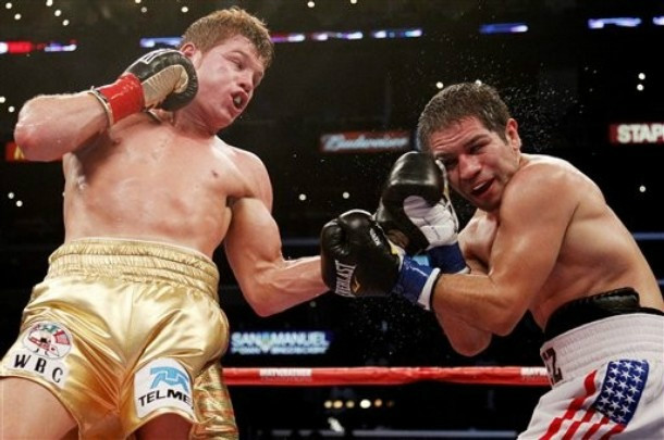 canelo5.jpg